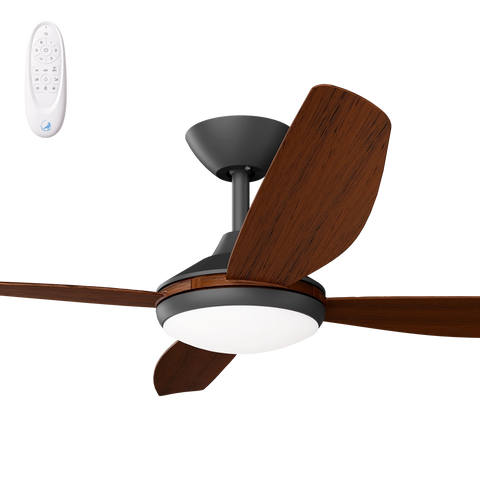 Vanga 56 DC Ceiling Fan Black with Koa Blades and LED Light