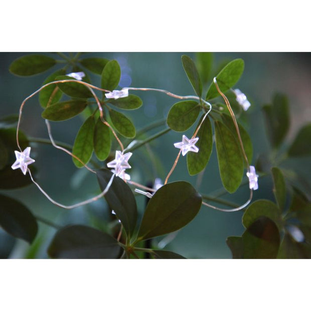 Fairy Lights Dew Drop 12 LED Star Cool White