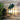 Highgate Down-Facing Exterior Wall Light Green Green
