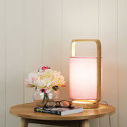 Lucia Table Lamp Wood and Blush Shade Pink