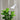 Thor Floor Lamp White White