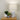 Andorra White Washed Table Lamp White