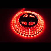 LED Strip Light - 4.8w RGBW Per Metre - Lighting Superstore
