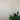 Daxam LED Twin Floor Lamp White White