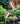 Spike Copper Garden Spot Spike Light - Lighting Superstore