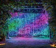 Twinkly Curtain Light 210 RGB+W LED Clear Wire - Generation II