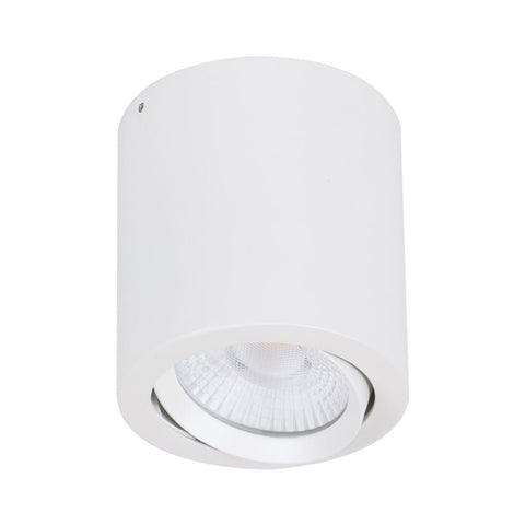 Neo 20w CCT LED Adjustable Surface Mounted Downlight White